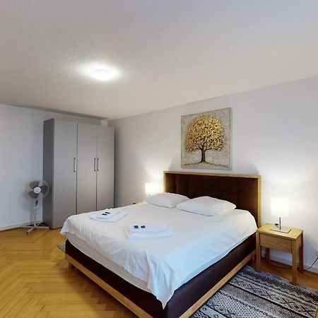 Bright 1 Bedroom Flat In The City Centre Zurich Ngoại thất bức ảnh